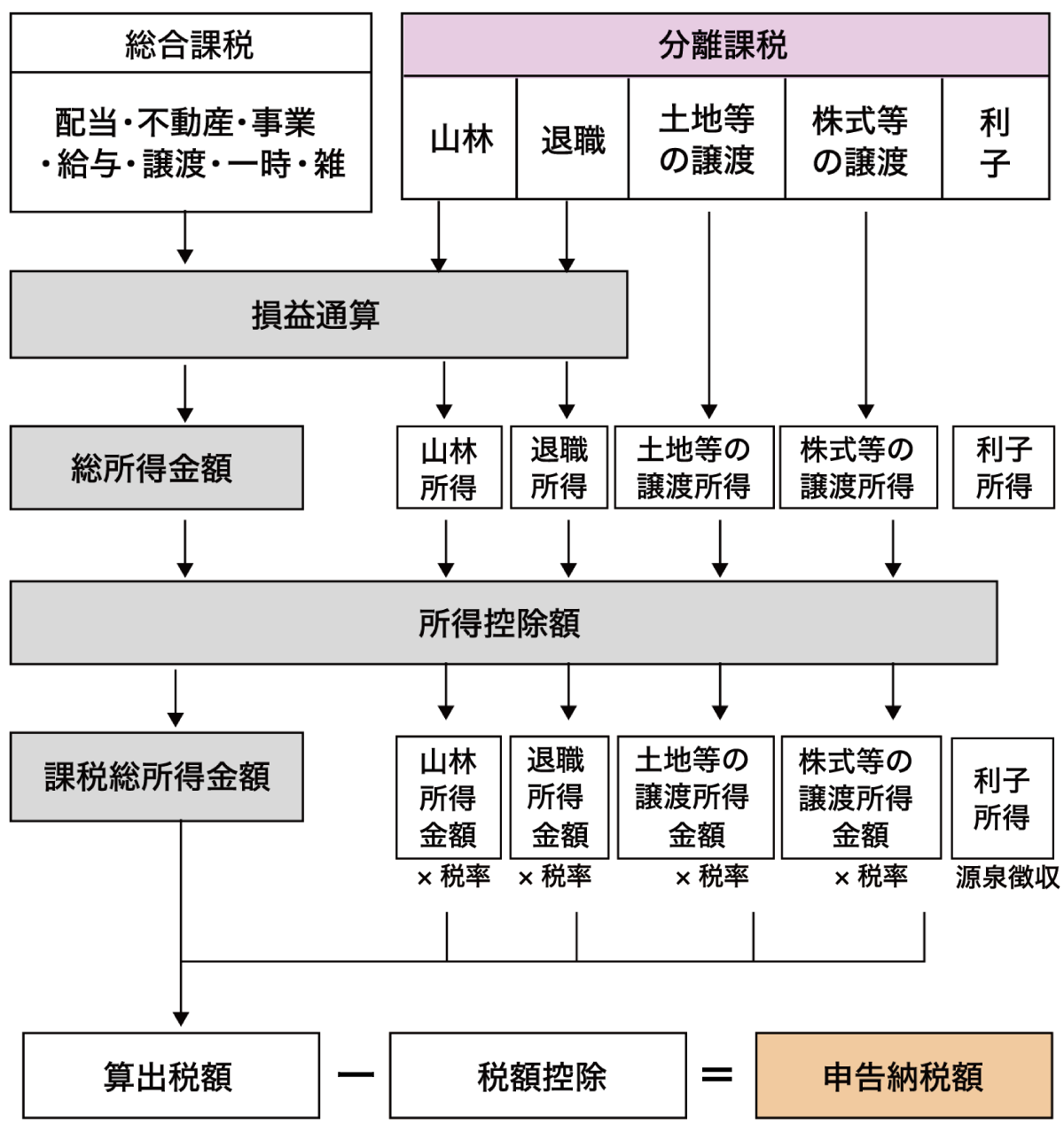 総合課税,分離課税,損益通算,総所得金額,課税総所得金額,所得控除額,税額控除,申告納税額